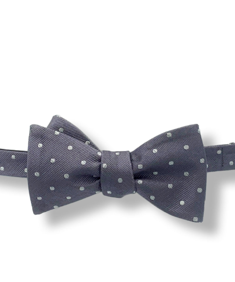 Gray and Silver Polka Dot Bow Tie